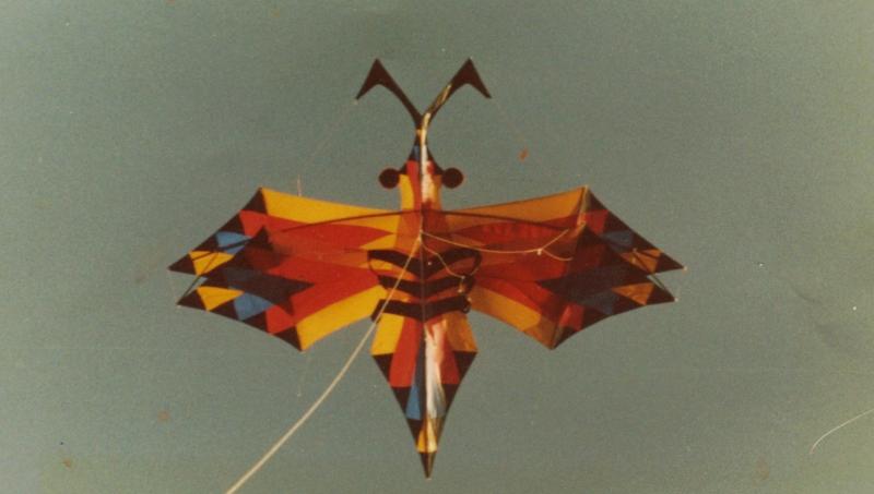 9m wingspan Dragonfly kite 1984, violent weaving reduced by moving the bridle point down.