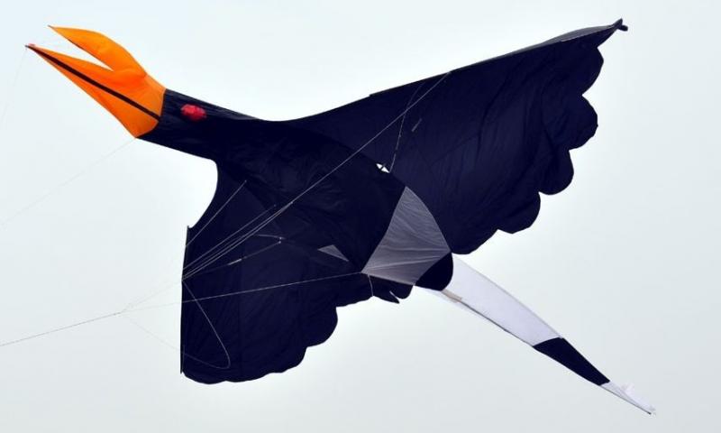 15m wingspan Hornbill at Bintilu in 2009- about the size limit for practical framed kites