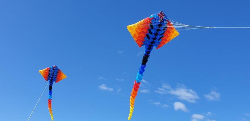 Ram air inflated Ray kites- resistant to weaving by judicious use of aspect ratio and tail drag