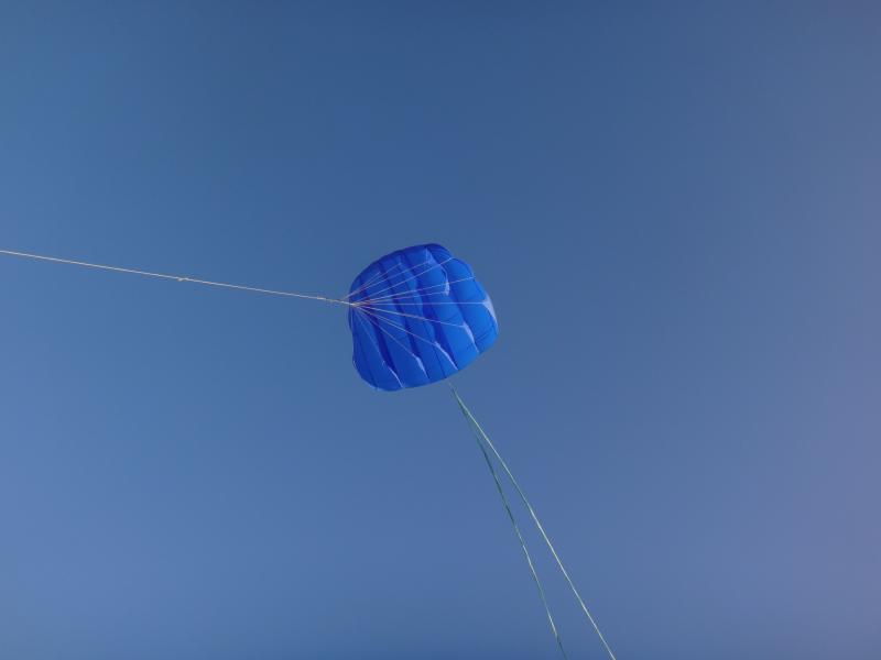 1Skin 6sq.m with bungy and pulley bridle and tails