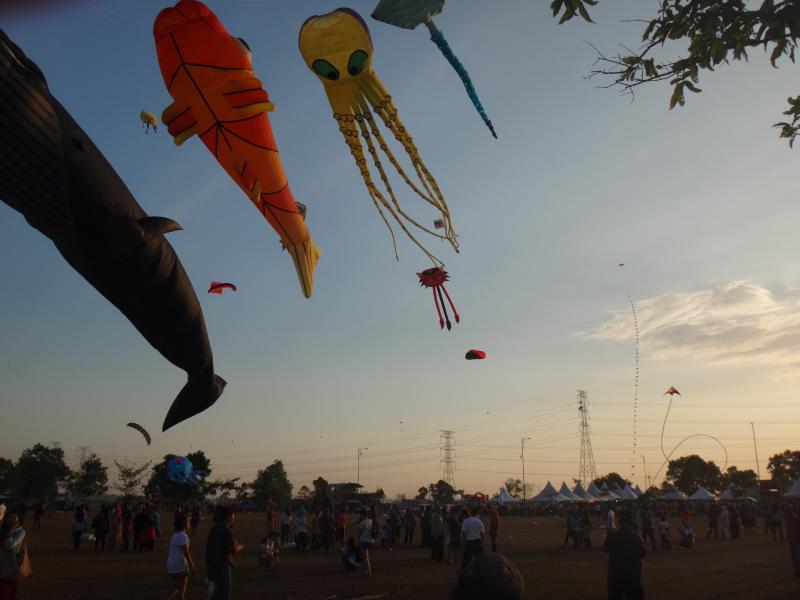 Kedah '14 spectators up power pylons