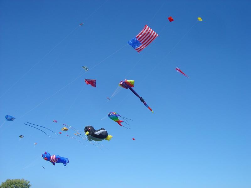 La Salle Park, Buffalo '05, Bear, Penguin, Fish, Ray, US Flag