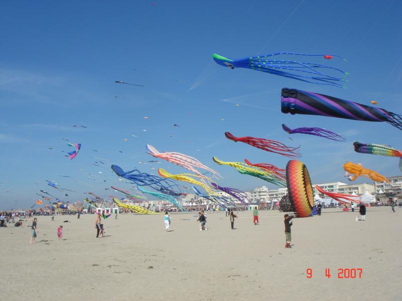 21. Berck Octopodes, 07 2