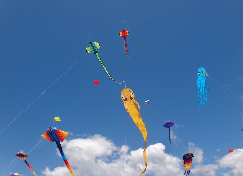 58.6 SSSL Rays, Serpent and Octo, Nelson '23