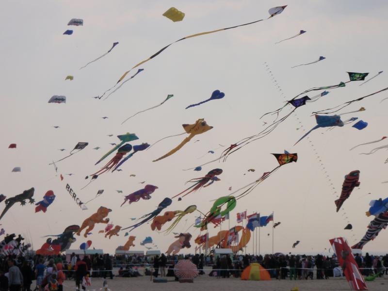 Berck '2011