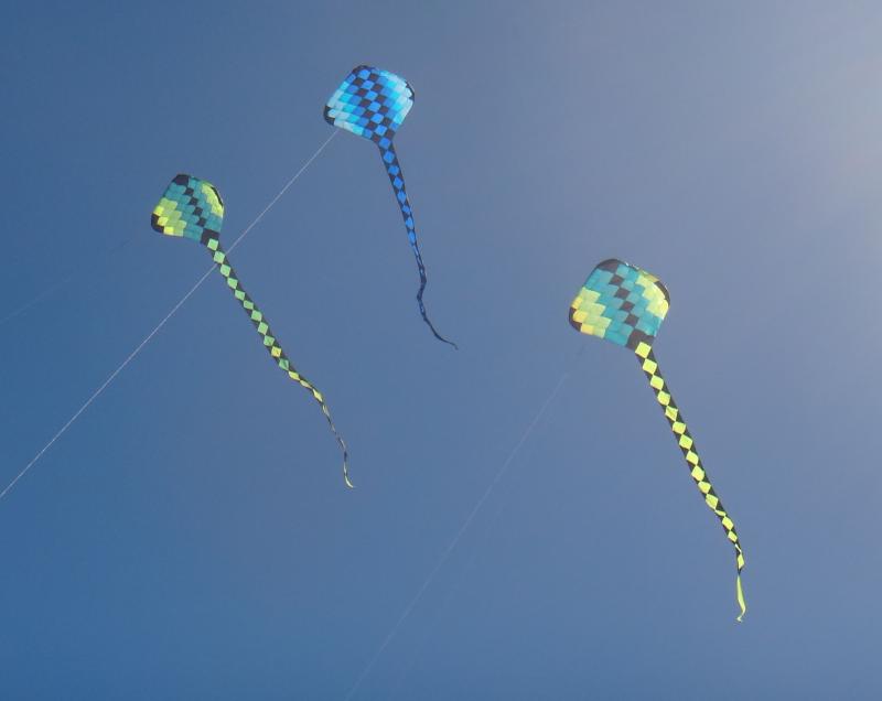 4 and 8 sq.m SS Rays, Wakanui, 2022