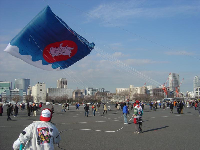50.1 Mega Moon, 2005, 950sq.m