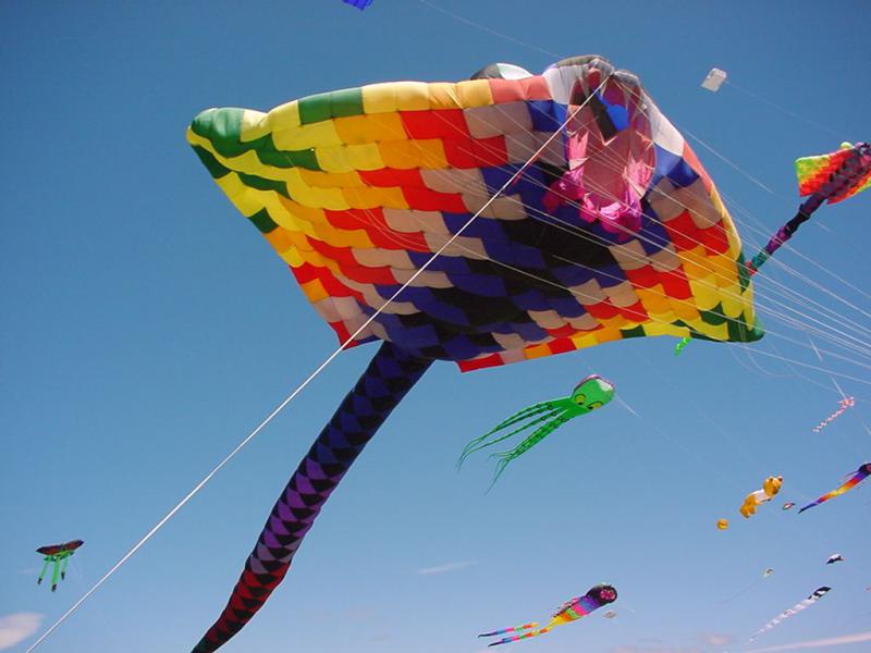 47.1 M. Ray  Nelson '03 4
