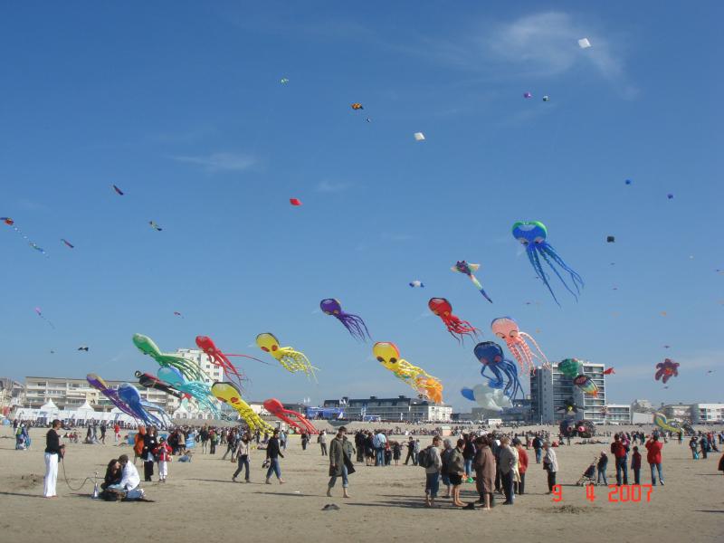 19.4  Berck Octopodes, 07 5