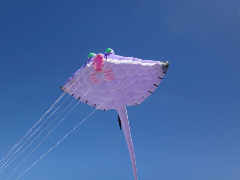 18.3 ST ray Wakanui 15 Feb '15 em