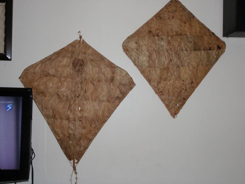3.2 Brunei leaf kites at Gaddis andf Yono's