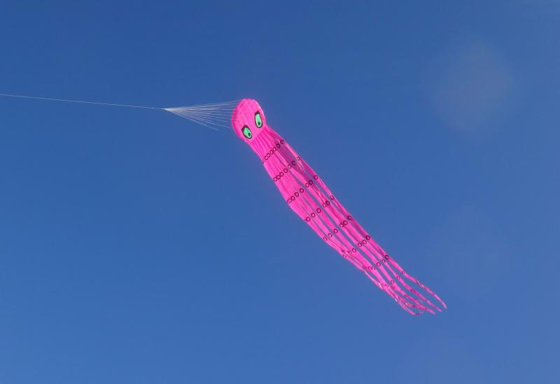 20m single skin Octopus with aeolian bridle, stable to 70km