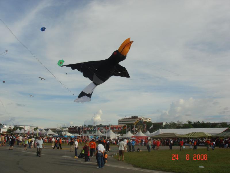 17.3 Hornbill Bintulu 2