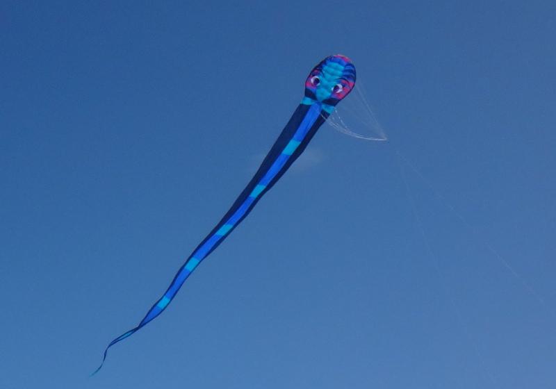 58.2 60m Al Farsi Serpent, St Annes 2