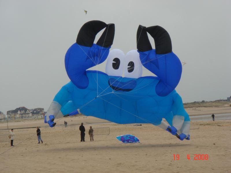 53.1 Crab at Houlgate 3