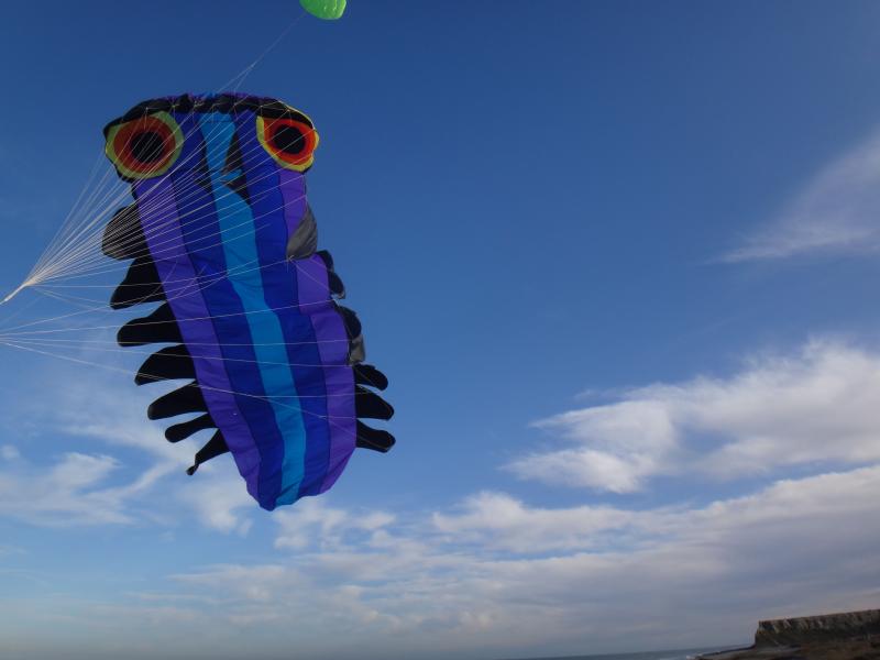 Caterpillar, Wakanui 31 July '15 2