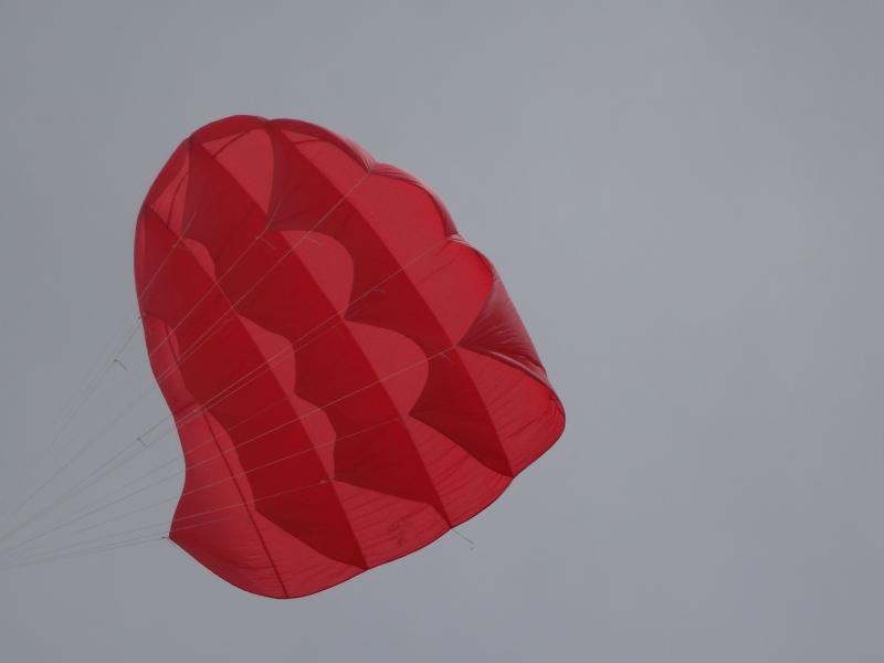 Singer, 2.25 sq.m single skin pilotkite