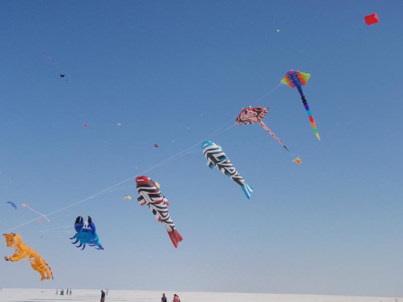 Kutch salt pan 2011