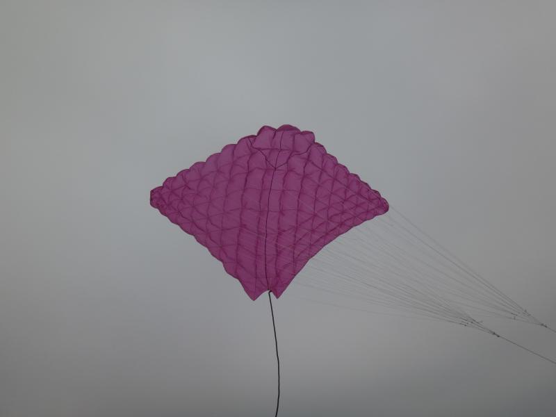 First SS Ray, 2015