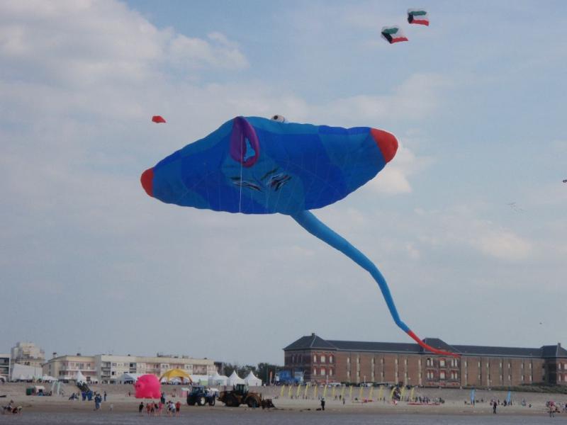 51.1 WLK Berck '11 em