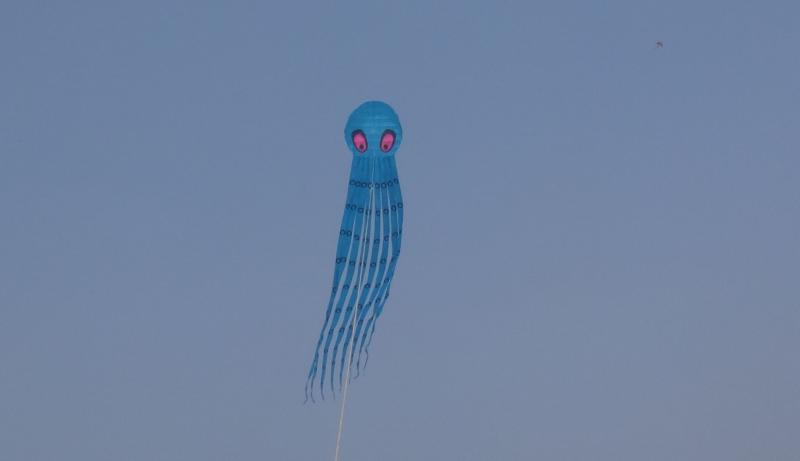 20m SS Octopus, Chengdu March '16