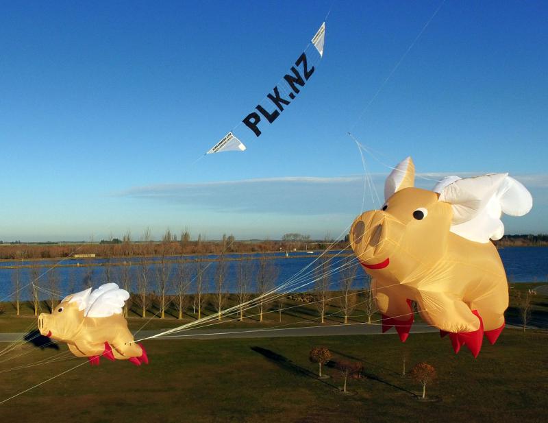 53.2  2 Pigs plknz 01