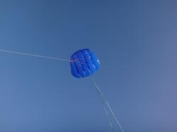 <p>1Skin 6sq.m with bungy and pulley bridle and tails</p>