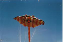 <p>18.1  Ray Number 1, 1988</p>