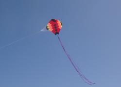 <p>57.3 Ray 4 2</p>