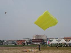 <p>Pilot showing lateral area disribution caused edging, Bintulu 2009</p>