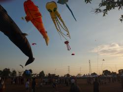 <p>Kedah '14 spectators up power pylons</p>