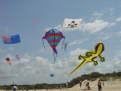 <p>26.1 Fish, Gecko, 3 Blokes, Gecko, Coolum '04, 2</p>