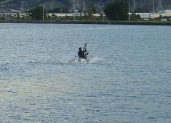 <p>Four hull, Pete, Estuary, planing, May '04</p>