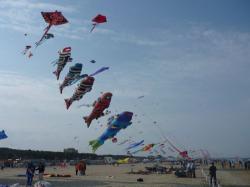 <p>35.1 Cervia '11, Stef, 1</p>