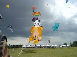 <p>36.1 Dog, Panda, Trilobite, Fish, Ray, Bear, PG '06</p>