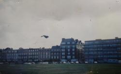 <p>17.5 Dieppe, Dophin escaping</p>