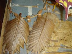 <p>2.2 Lokoloko leaf kites, Indon., Modegi museum 03</p>