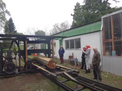 <p>First Cut Post-Restoration</p>