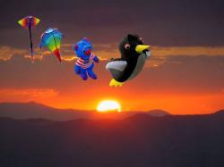 <p>37.3 Niagara '05, Ray, Fis, Bear, Penguin, sunset</p>