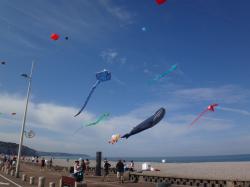 <p>37.1 Dieppe '16 5</p>