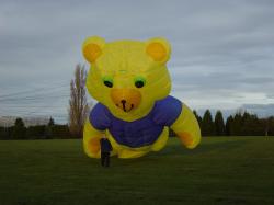 <p>23.1 Bear, Max yellow 1'03</p>