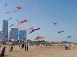 <p>31.2 Xiamen '10 3</p>