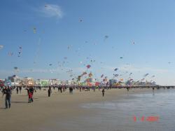 <p>33.1 Berck 07, em</p>