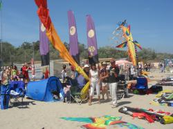 <p>Jeannet, Malcom Goodman and Cabanas 2008</p>