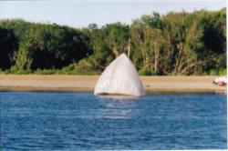 <p>AC class kite with catamaran 1</p>