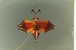 <p>14. Dragonfly 1984</p>