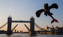<p>56.3 Toothless at London Bridge</p>