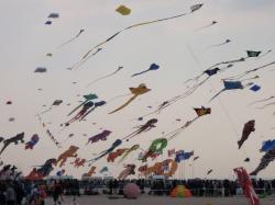 <p>Berck '2011</p>