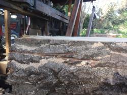 <p>Wandering Cut</p>