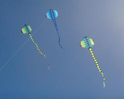 <p>4 and 8 sq.m SS Rays, Wakanui, 2022</p>